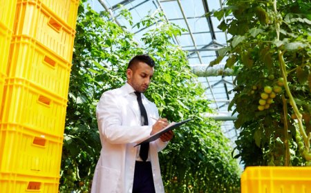 Top Trends Shaping the Future of Ayurveda and Ayurvedic Industries