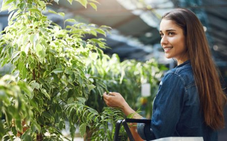 Ayurvedic Franchise Success Stories: Lessons for Aspiring Entrepreneurs