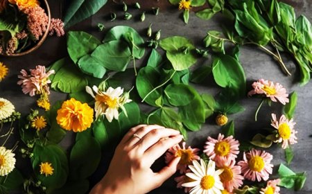 Intellectual Property Rights in Ayurvedic Products and Ayurvedicceuticals