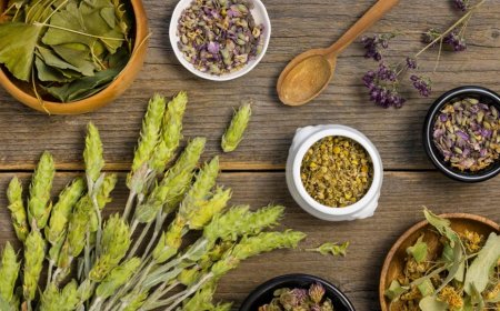 आयुर्वेदिक फ्रेंचाइज़ी धंदा: कैसे शुरू करें और सफल बनें