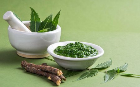 Ayurveda's Role in Modern Healthcare: A Holistic Approach