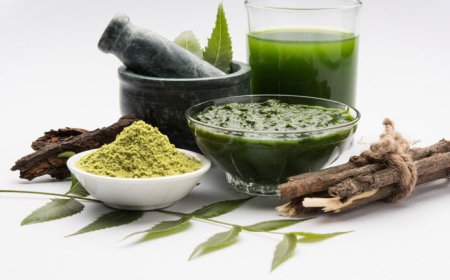 Top Ayurvedic Herbs and Their Health Benefits