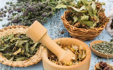 How to Set Up an Ayurvedic Clinic or Ayurvediccy: A Step-by-Step Guide