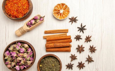 Strategies for Effective Distribution Management in Ayurvedic Franchise