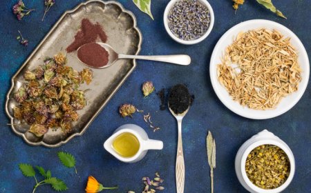 The Importance of Marketing Authorization for Ayurvedic and Ayurvedicceutical Products: Ensuring Quality, Safety, and Efficacy in the Market