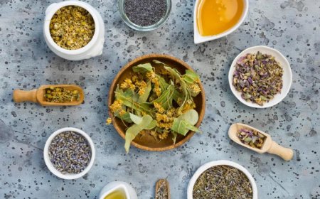 Navigating the Regulatory Landscape of Ayurvedic and Ayurvedic Pharmaceutical Exports for Indian Businesses