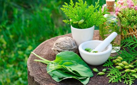 Integrating Modern Science and Ayurvedic Wisdom for Better Health Outcomes