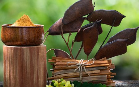The Role of Telemedicine in Ayurveda and Ayurvedicceutical Care