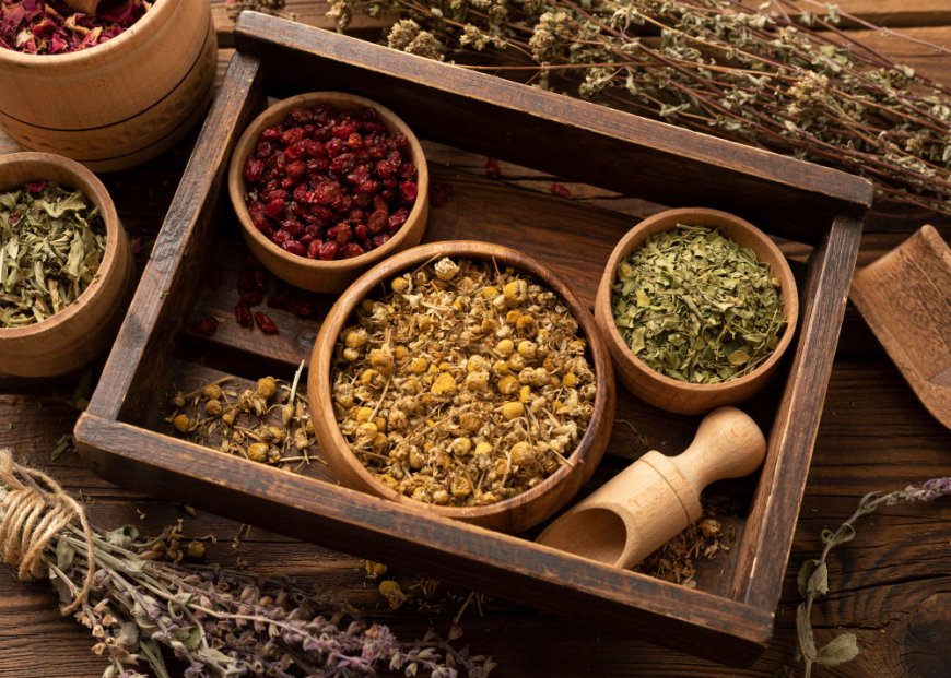 How to Choose the Right Ayurvedic Manufacturer for Your Business