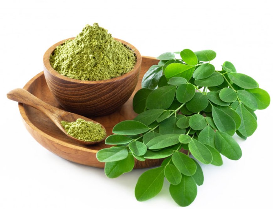 The Growing Global Demand for Ayurvedic Products and Treatments