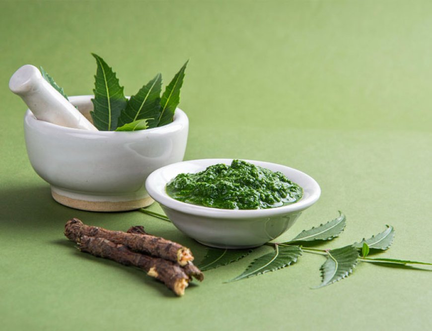 Ayurveda's Role in Modern Healthcare: A Holistic Approach