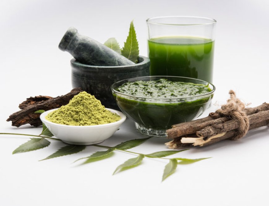 Top Ayurvedic Herbs and Their Health Benefits