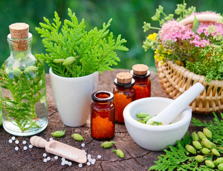 Innovative Drug Delivery Systems in the Ayurvedicceutical Industry