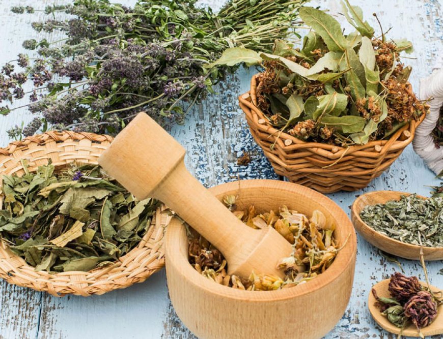 How to Set Up an Ayurvedic Clinic or Ayurvediccy: A Step-by-Step Guide