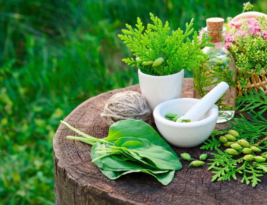 Integrating Modern Science and Ayurvedic Wisdom for Better Health Outcomes