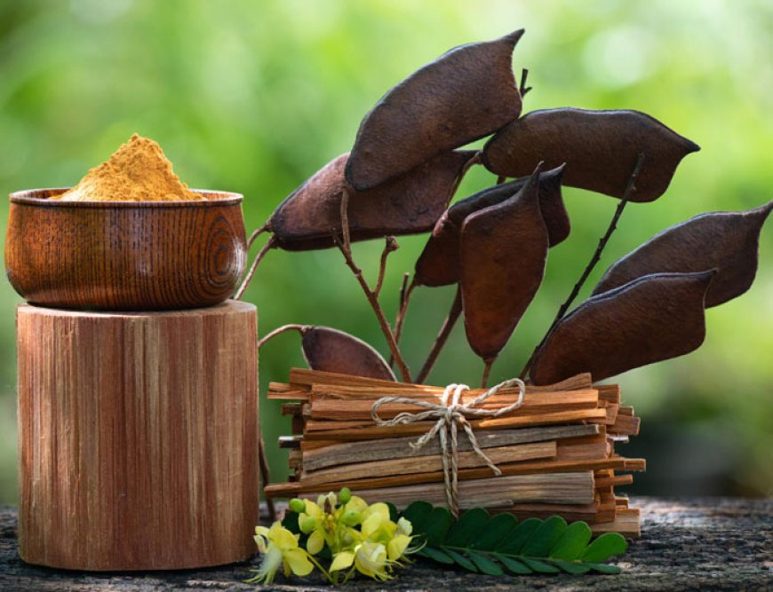 The Role of Telemedicine in Ayurveda and Ayurvedicceutical Care