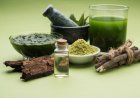 A Guide to Product Registration and Licensing for Ayurvedic and Ayurvedicceutical Companies