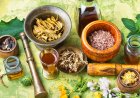 Creating a Successful Customer Loyalty Program for Ayurvedic and Ayurvedic Companies