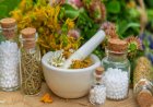 An Overview of Ayurvedic and Ayurvedicceutical Licensing and Regulatory Bodies