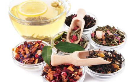 How to Achieve Scalability and Flexibility in Ayurvedic and Ayurvedicceutical Manufacturing