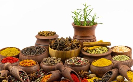 The Benefits of Contract Research Organizations (CROs) for Ayurveda and Ayurvedic Industries