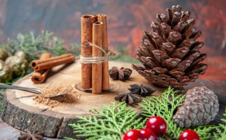 How to Manage Inventory in Ayurvedic and Ayurvedic Franchise Businesses