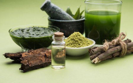 A Guide to Product Registration and Licensing for Ayurvedic and Ayurvedicceutical Companies