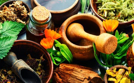 Unlocking the Power of Ayurveda: A Comprehensive Overview of North India Life Sciences Pvt. Ltd.