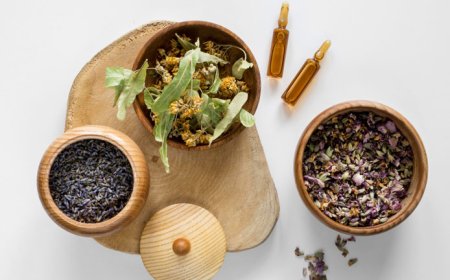 Embracing Ayurveda: How North India Life Sciences Pvt. Ltd. Contributes to Natural Healthcare