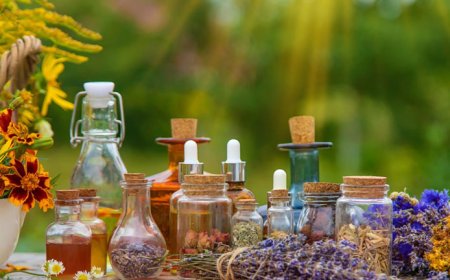 The Role of Ayurveda in Modern Healthcare: Insights from North India Life Sciences Pvt. Ltd