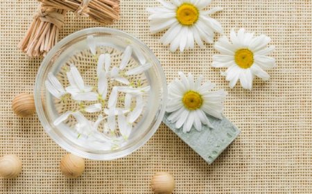 Ayurvedic and Ayurvedicceutical Product Recalls: Causes and Prevention