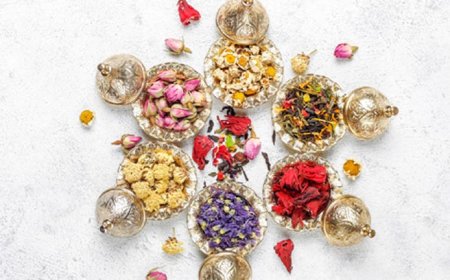 The Role of Traditional Medicine in Modern Healthcare Systems