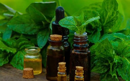 How to Manage Supply Chain Risks in the Ayurvedic and Ayurvedicceutical Industries
