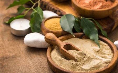 Navigating Third-Party Manufacturing of Ayurvedic Products with North India Life Sciences Pvt. Ltd.