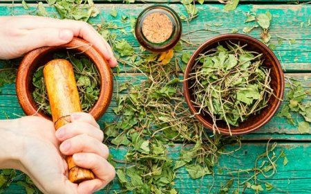 The Role of Corporate Social Responsibility in Ayurvedic and Ayurvedicceutical Businesses