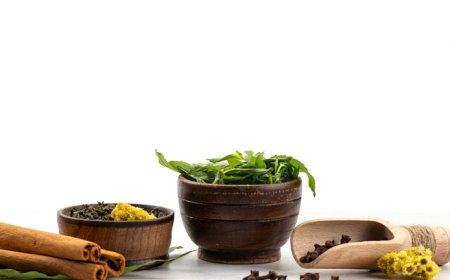 Embracing the Healing Power of Ayurveda: Key Ayurvedic Products by North India Life Sciences Pvt. Ltd.