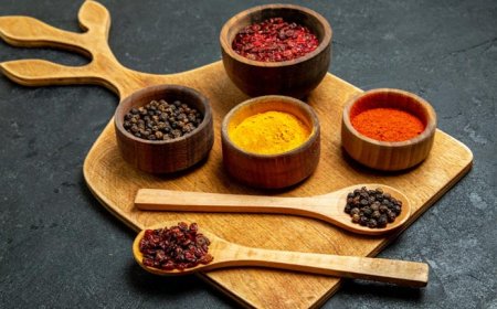 Preparing for Audits and Inspections in Ayurvedic and Ayurvedicceutical Manufacturing