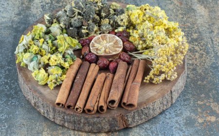 The Benefits of Outsourcing Non-core Operations for Ayurvedic and Ayurvedicceutical Businesses