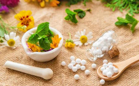Ayurvedic Franchise Opportunities: How North India Life Sciences Pvt. Ltd. Empowers Entrepreneurs