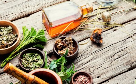 Understanding and Managing Cold Chain Logistics in Ayurvedic Distribution