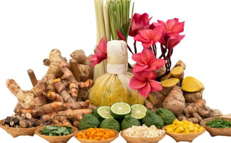 Developing a Crisis Management Plan for Ayurvedic and Ayurvedicceutical Businesses