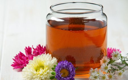 Ayurvedic and Ayurvedicceutical Distribution Channels: A Comparative Analysis