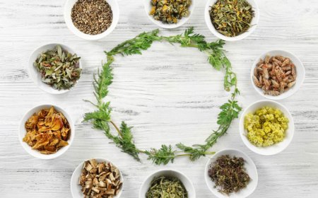 How to Build a Strong Online Presence for Ayurvedic and Ayurvedic Businesses