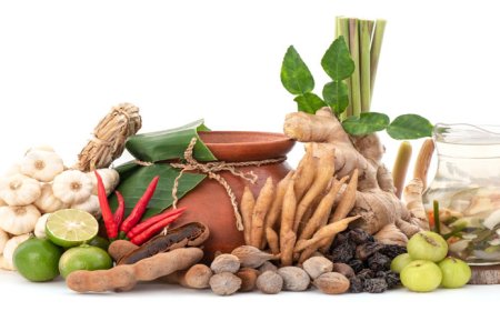 The Rising Demand for Clean and Green Manufacturing in Ayurveda and Ayurvedic