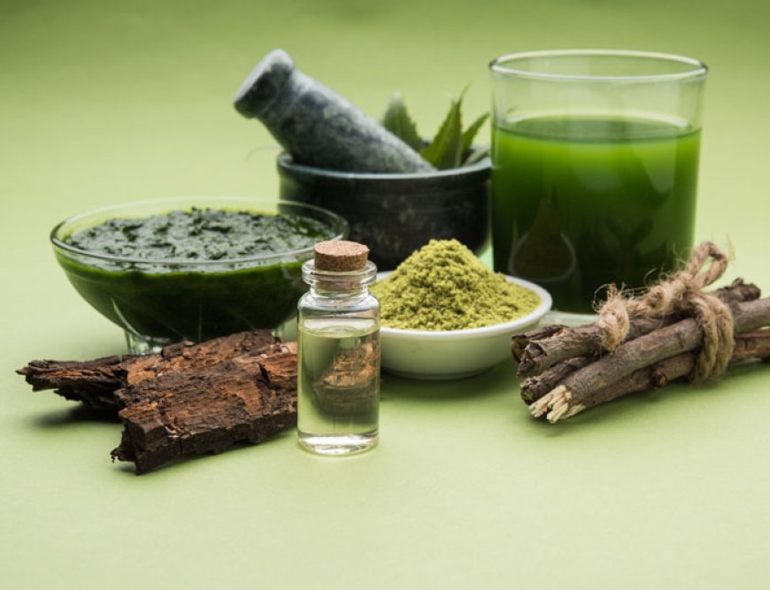 A Guide to Product Registration and Licensing for Ayurvedic and Ayurvedicceutical Companies