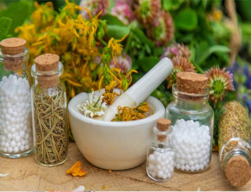 An Overview of Ayurvedic and Ayurvedicceutical Licensing and Regulatory Bodies