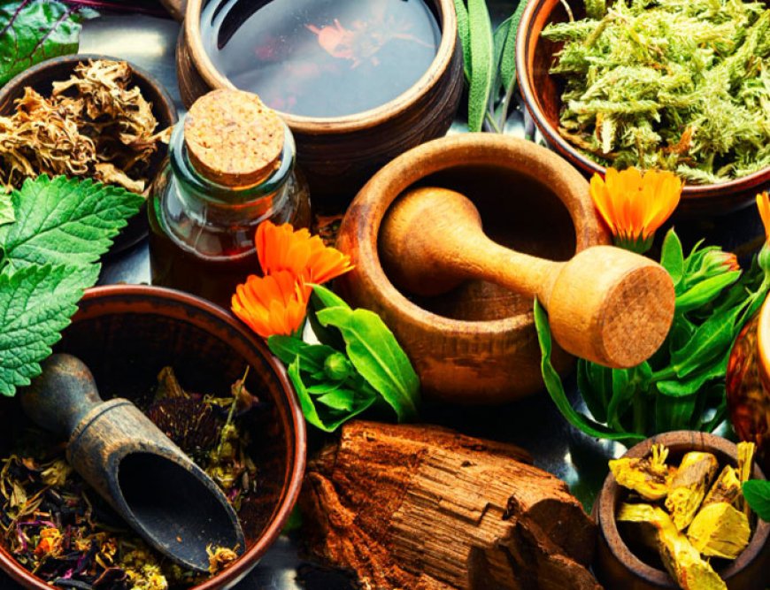 Unlocking the Power of Ayurveda: A Comprehensive Overview of North India Life Sciences Pvt. Ltd.