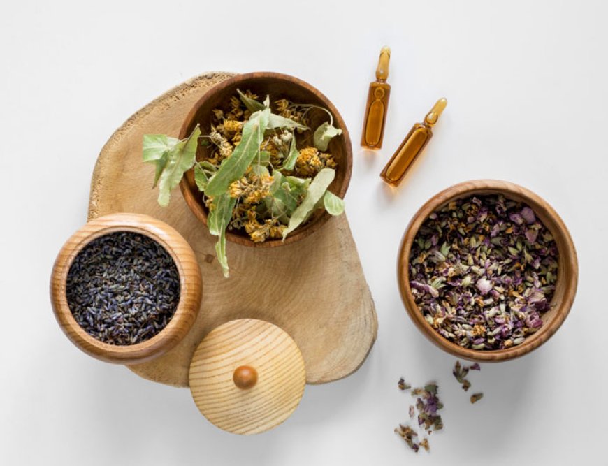 Embracing Ayurveda: How North India Life Sciences Pvt. Ltd. Contributes to Natural Healthcare