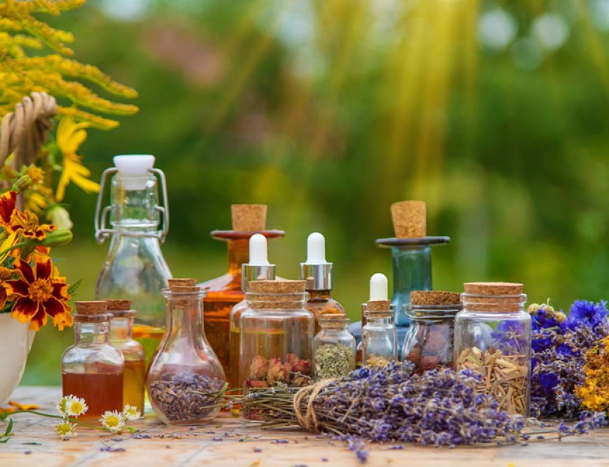 The Role of Ayurveda in Modern Healthcare: Insights from North India Life Sciences Pvt. Ltd