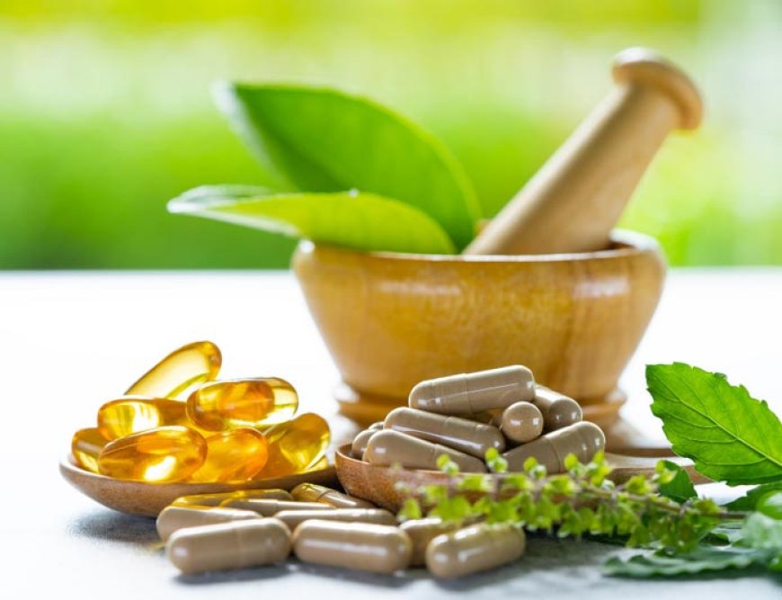 Exploring the Benefits of Ayurvedic Franchise Opportunities with North India Life Sciences Pvt. Ltd.